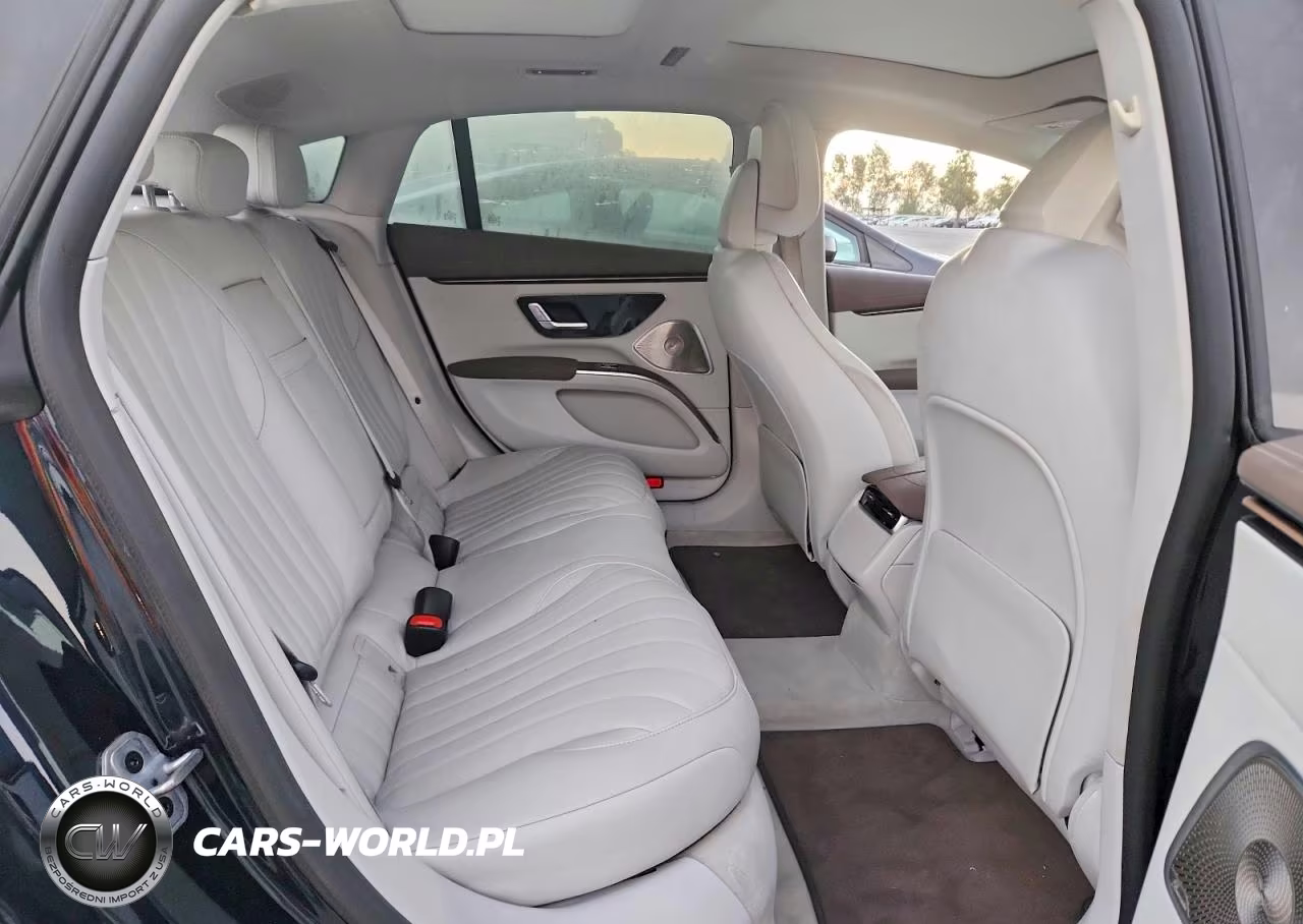2022 Mercedes-Benz Eqs Sedan 450+ VIN:W1KCG2DB3NA003756 - 10