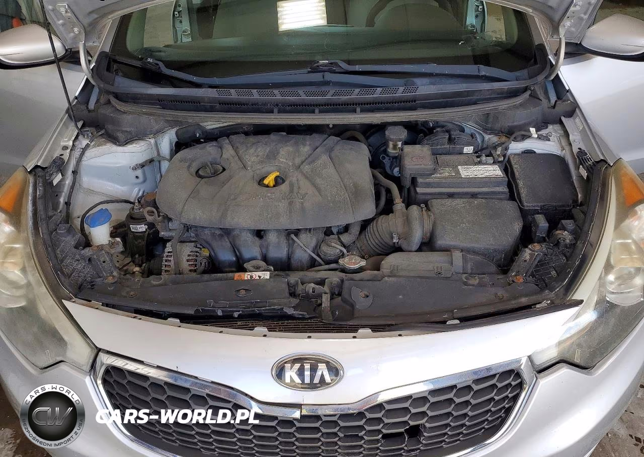 2016 Kia Forte Lx VIN:KNAFK4A63G5524266 - 11