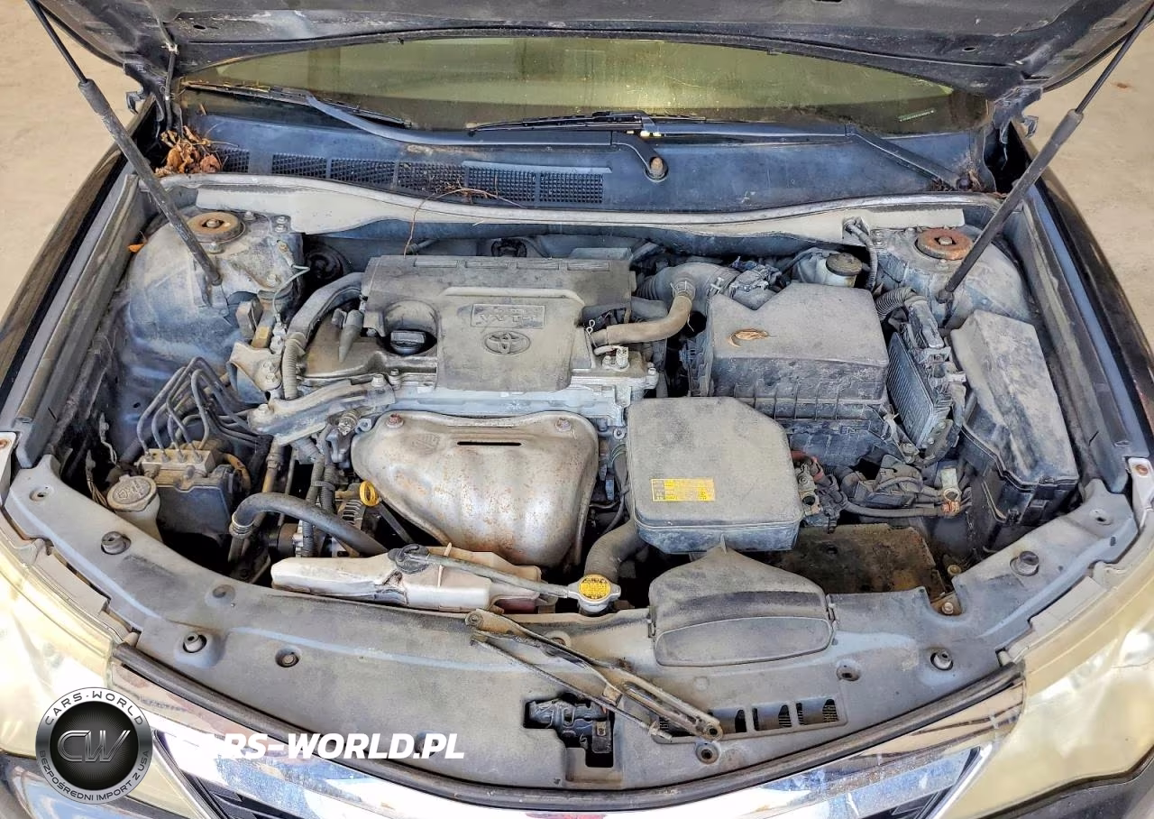 2012 Toyota Camry Xle VIN:4T4BF1FK6CR169394 - 11