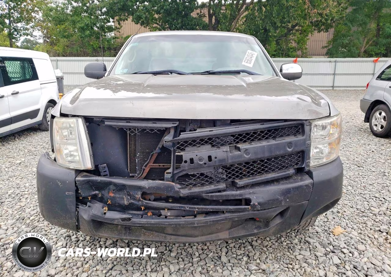2012 Chevrolet Silverado C1500 VIN:1GCRCPEX0CZ301879 - 5