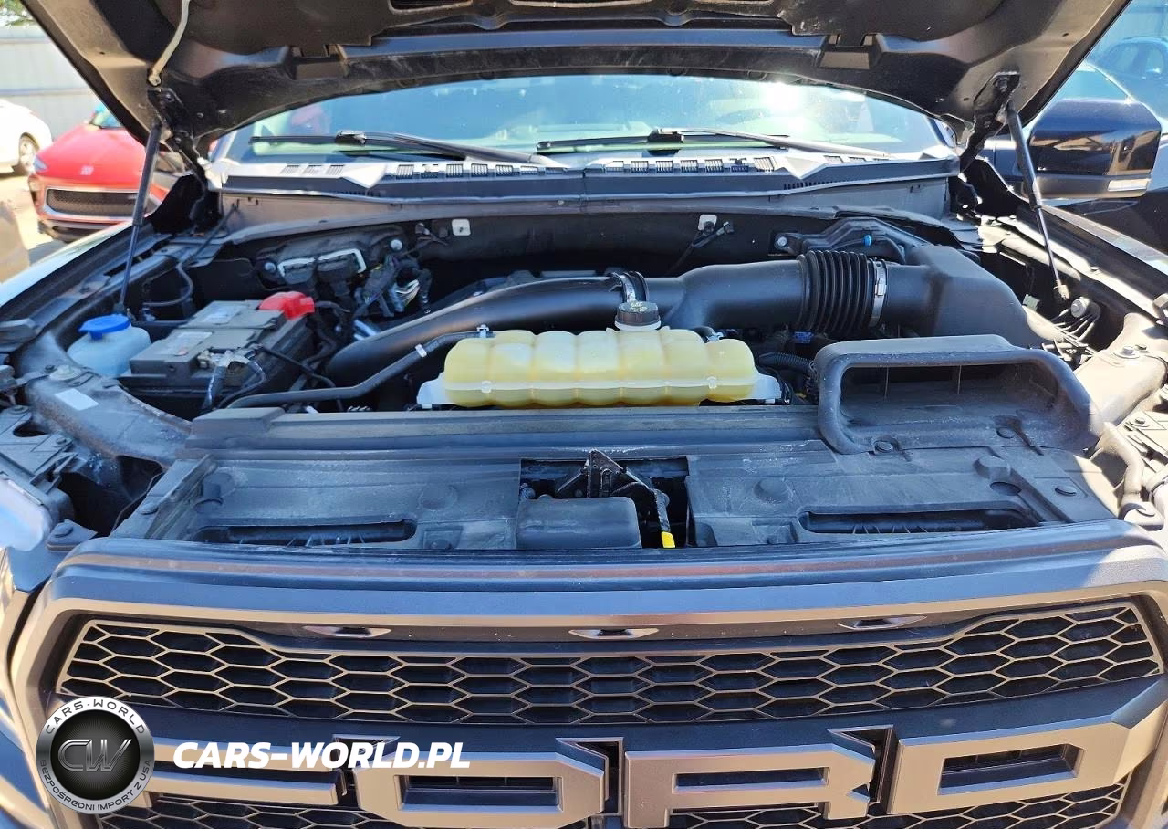 2020 Ford F150 Raptor VIN:1FTFW1RG8LFA36325 - 11
