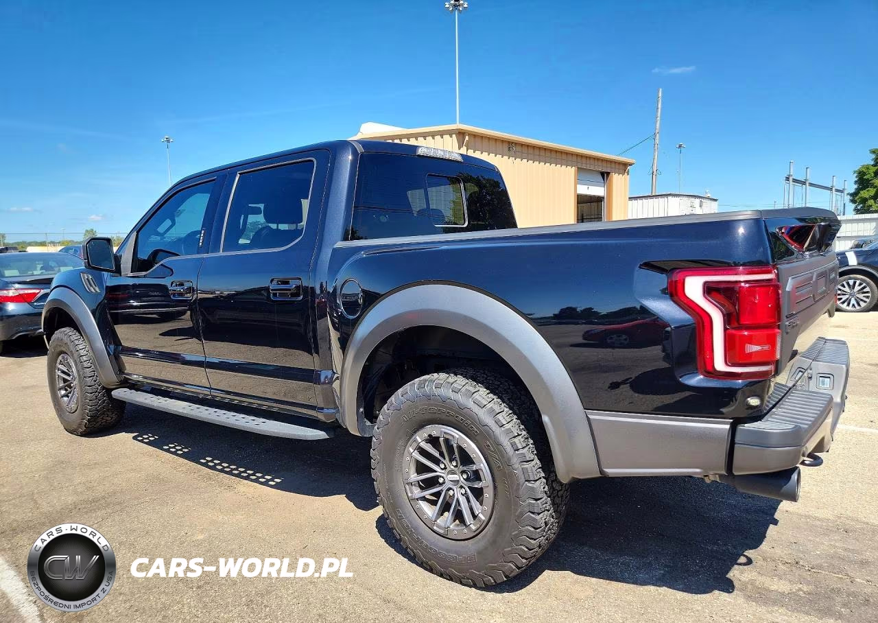 2020 Ford F150 Raptor VIN:1FTFW1RG8LFA36325 - 2