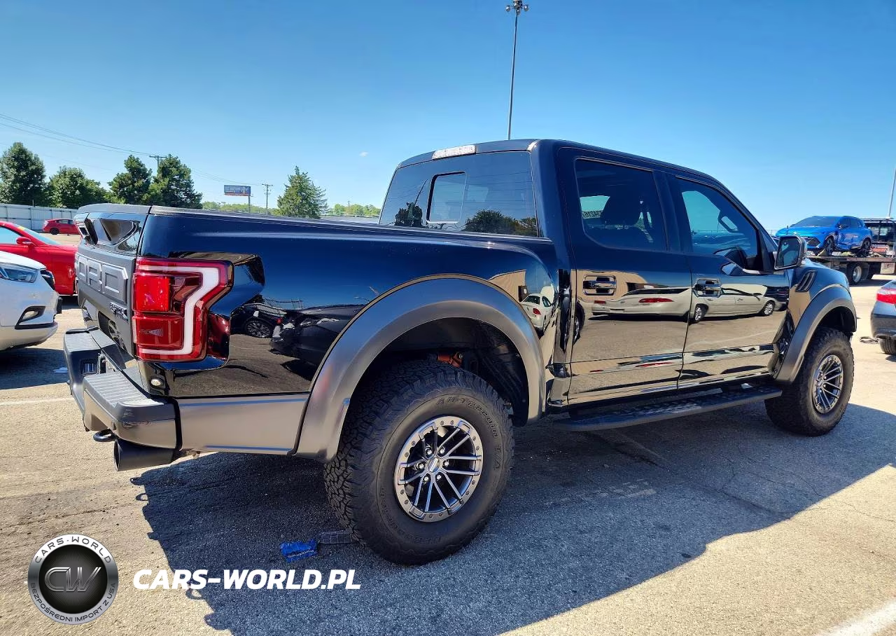 2020 Ford F150 Raptor VIN:1FTFW1RG8LFA36325 - 3