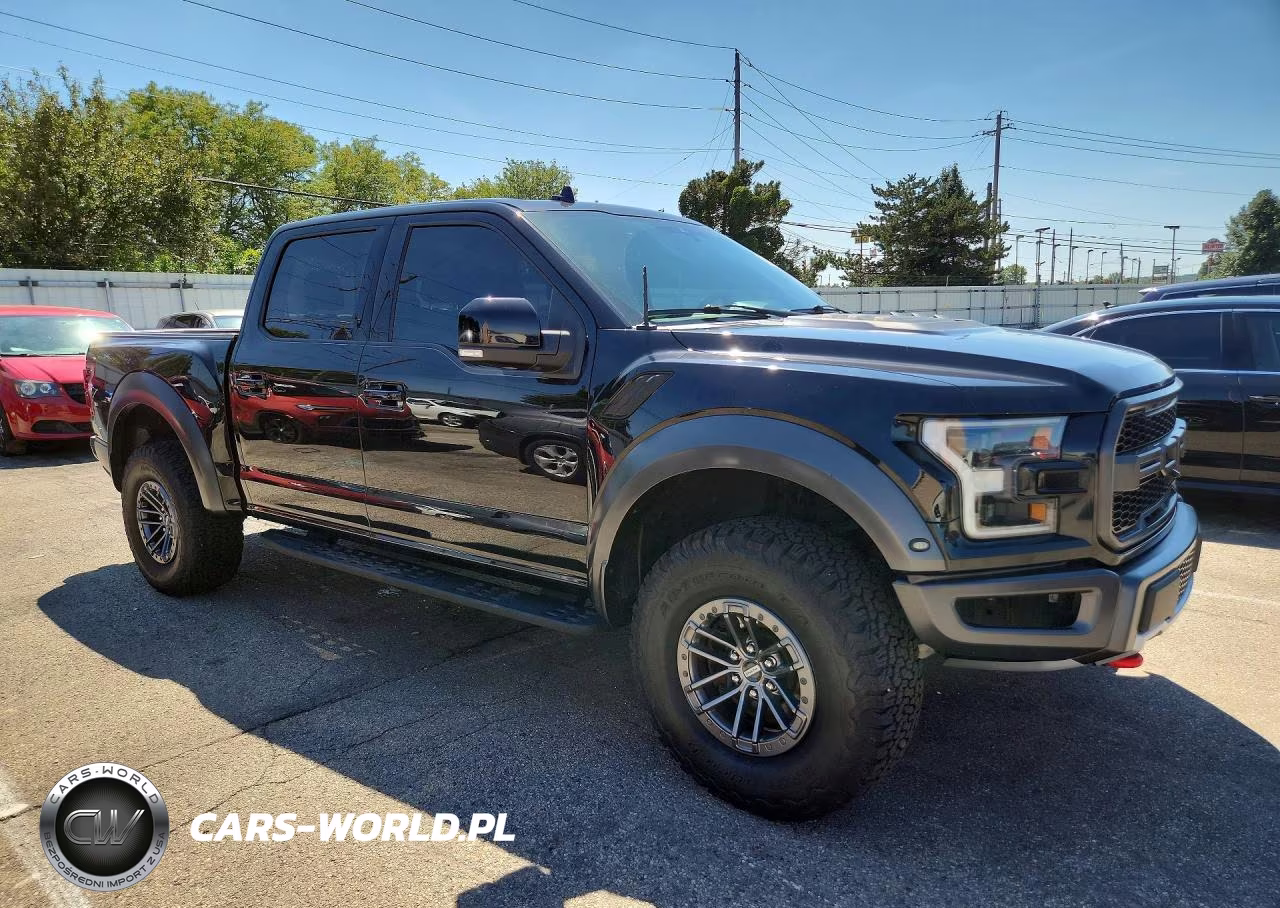2020 Ford F150 Raptor VIN:1FTFW1RG8LFA36325 - 4