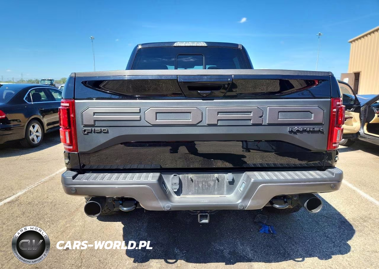 2020 Ford F150 Raptor VIN:1FTFW1RG8LFA36325 - 6