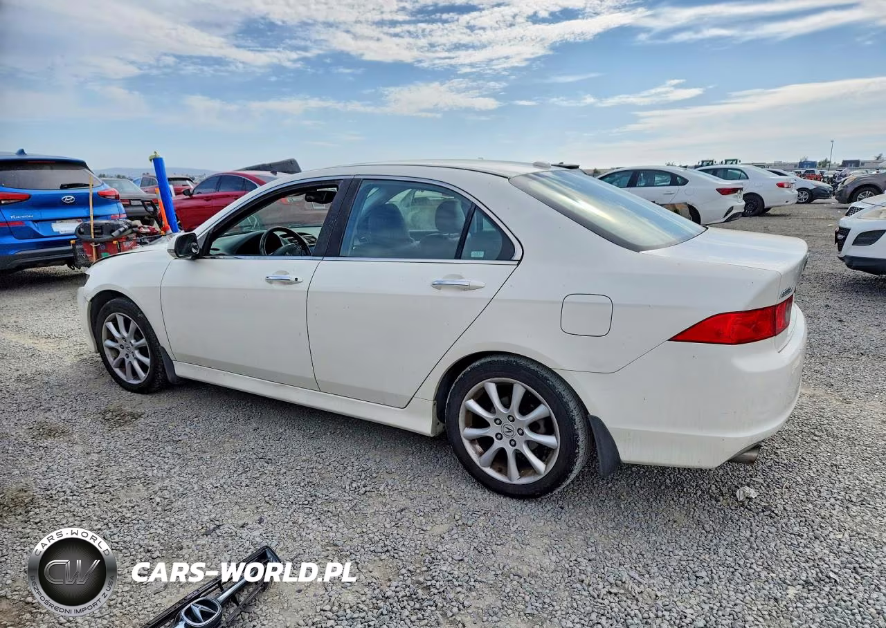 2006 Acura Tsx VIN:JH4CL96956C036884 - 2