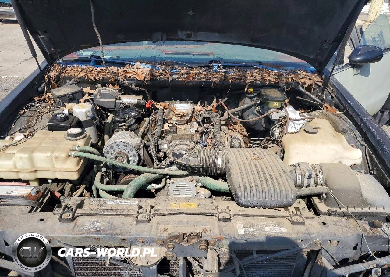 1994 Chevrolet Caprice Classic VIN:1G1BL52P0RR146701 - 11