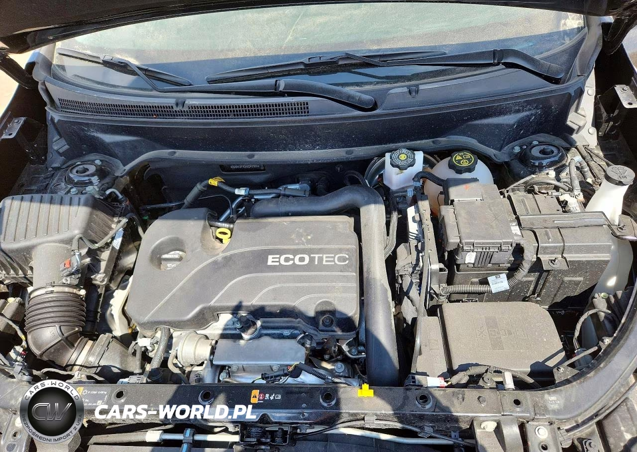2019 Chevrolet Equinox Lt VIN:2GNAXJEV2K6242025 - 12