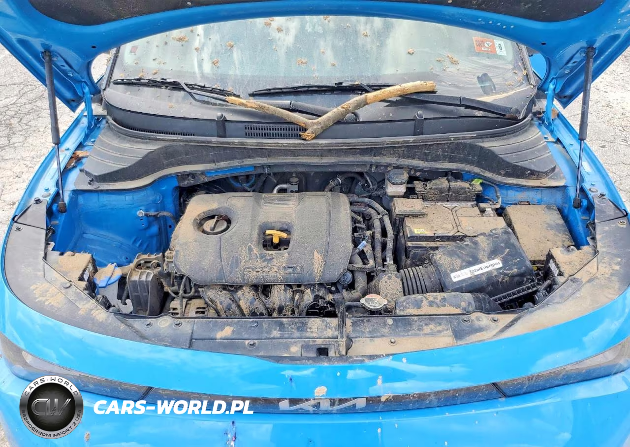 2025 Kia Soul Ex VIN:KNDJ33AU4S7270714 - 11