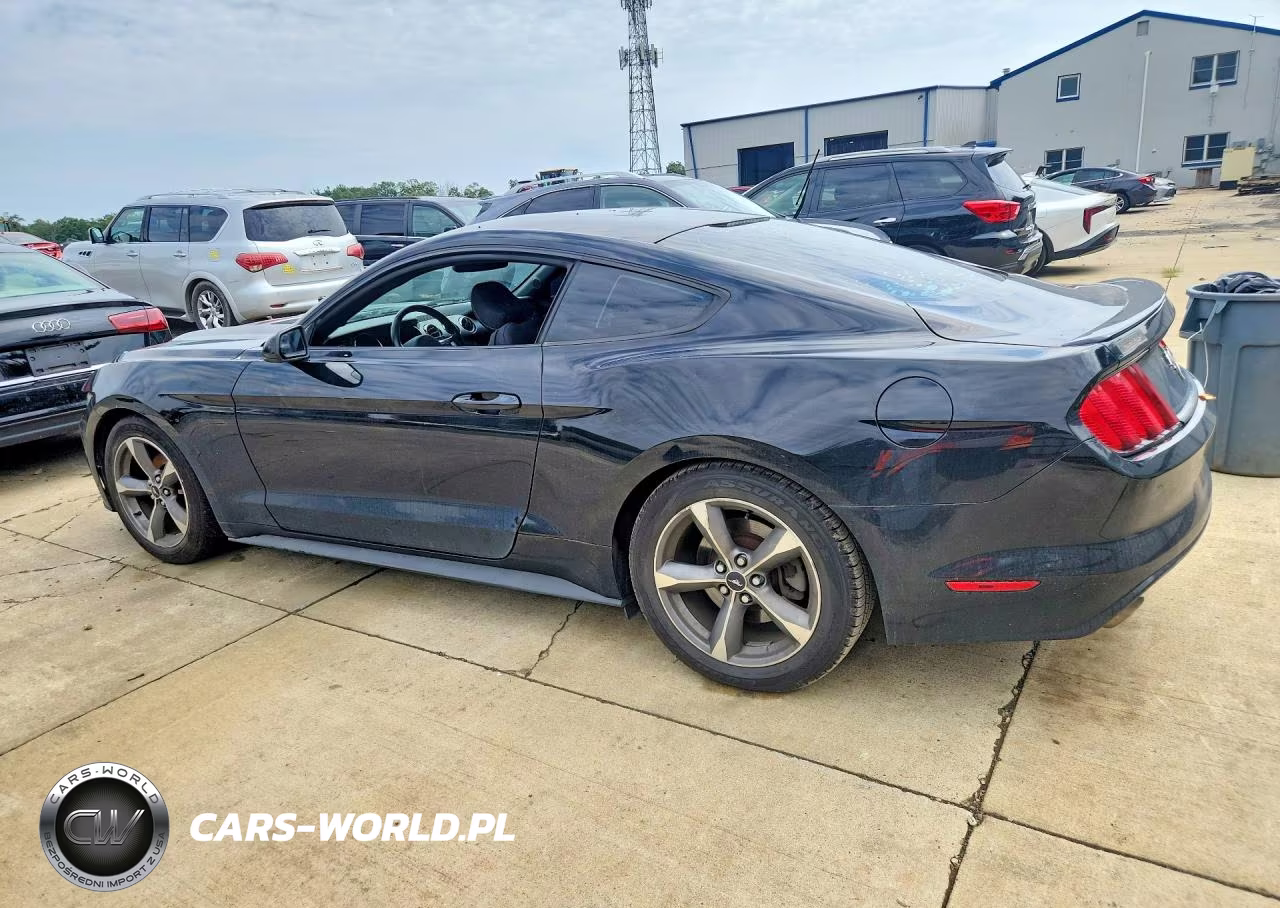 2015 Ford Mustang VIN:1FA6P8AM3F5387716 - 2