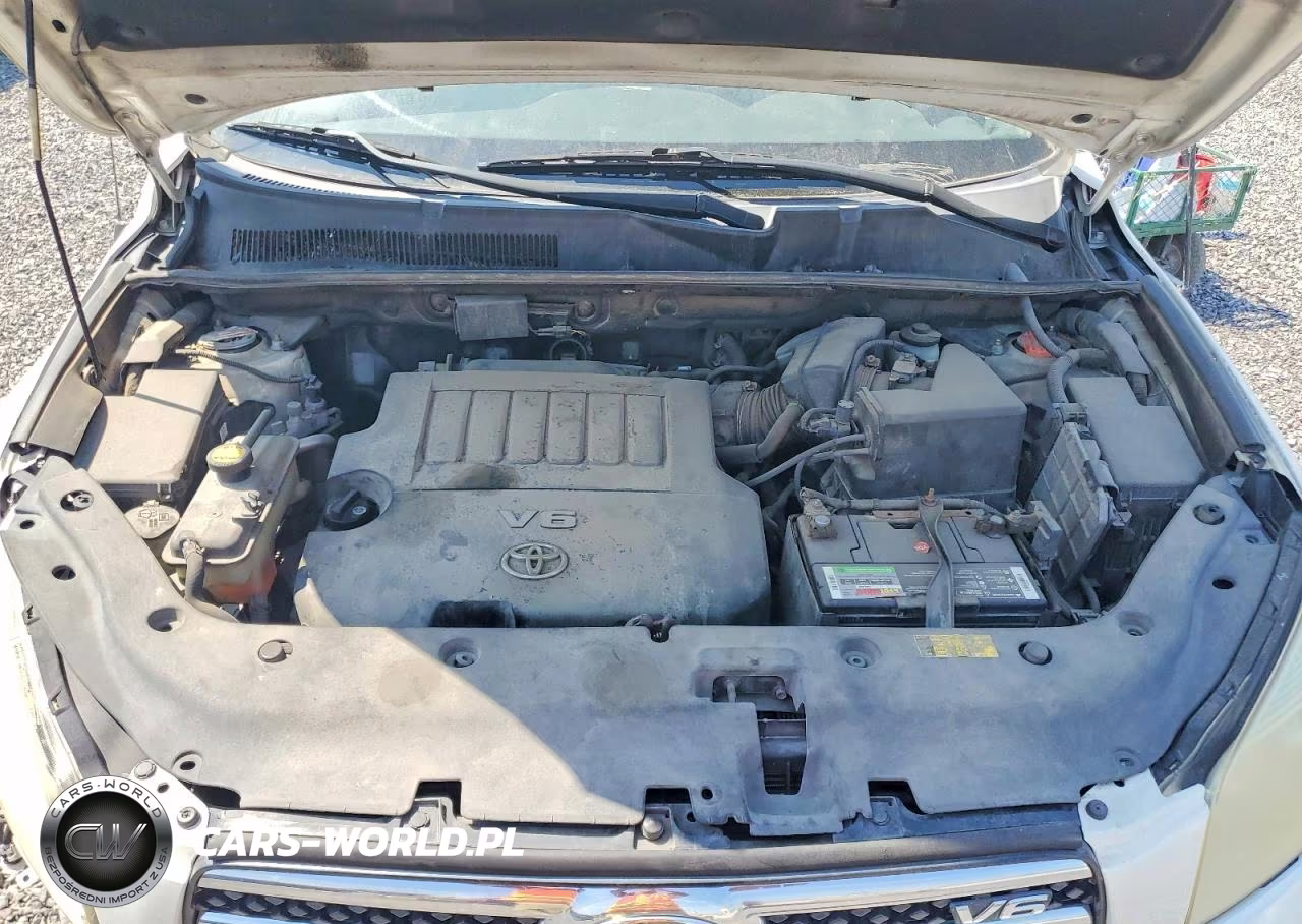 2006 Toyota Rav4 Limited VIN:JTMBK31V065001899 - 12