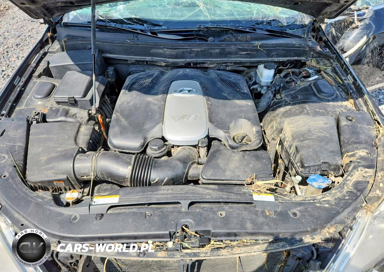 2009 Hyundai Genesis 4.6L VIN:KMHGC46F89U044869 - 11