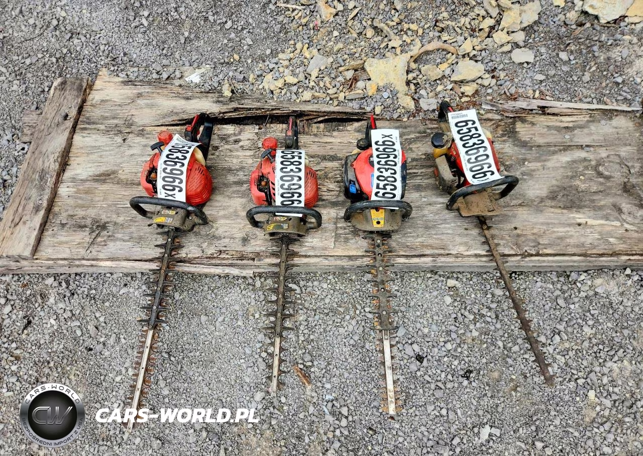 2021 Hedge Trimmers VIN:888899990000 - 10