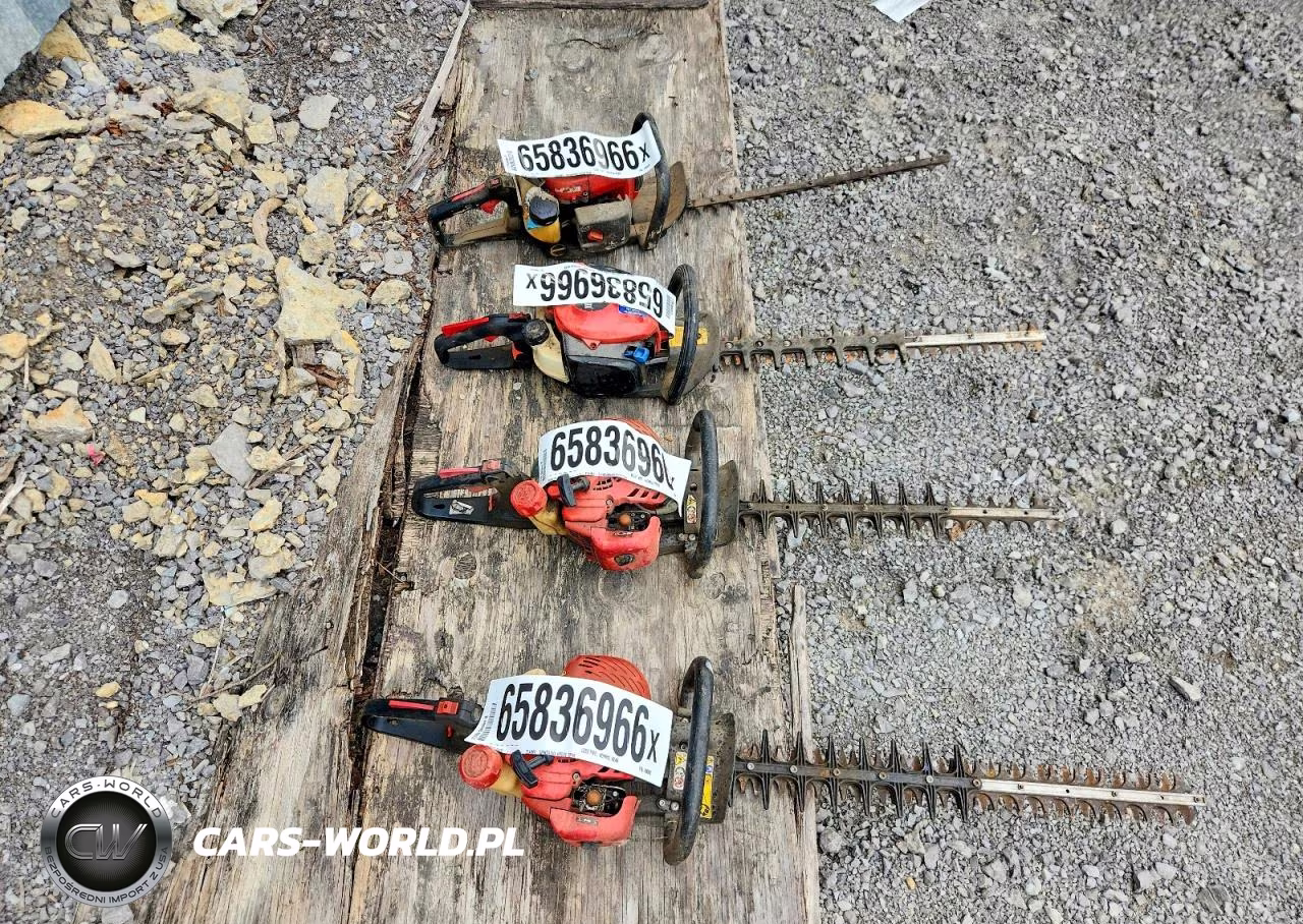 2021 Hedge Trimmers VIN:888899990000 - 6