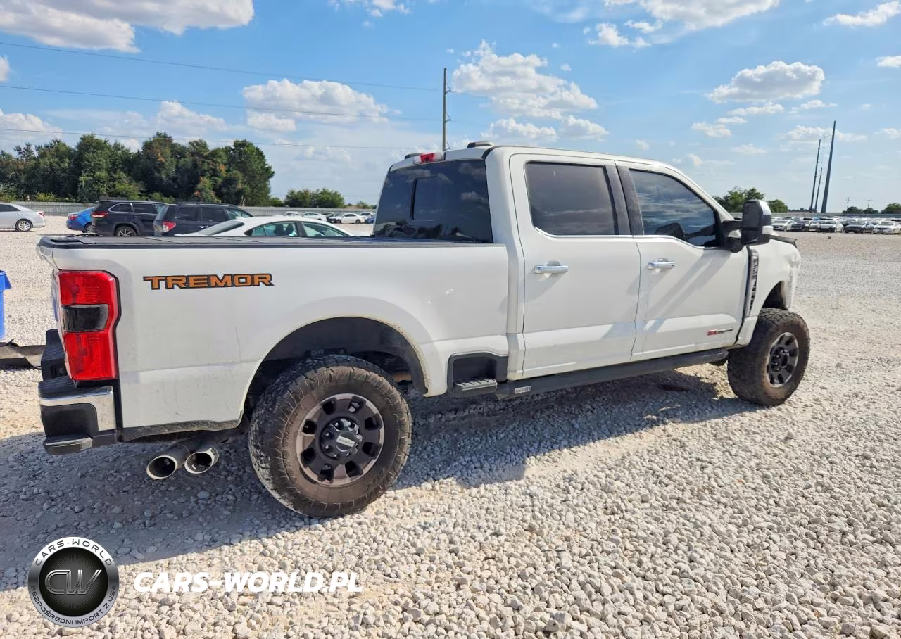 2023 Ford F350 Super Duty VIN:1FT8W3BMXPED64944 - 3