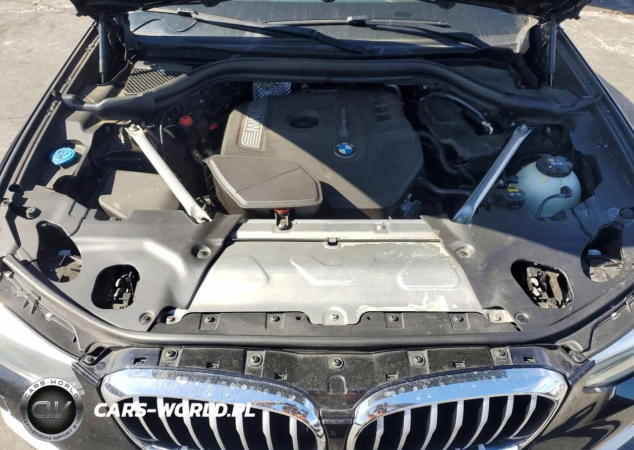 2019 BMW X3 Sdrive30I VIN:5UXTR7C58KLR49265 - 11