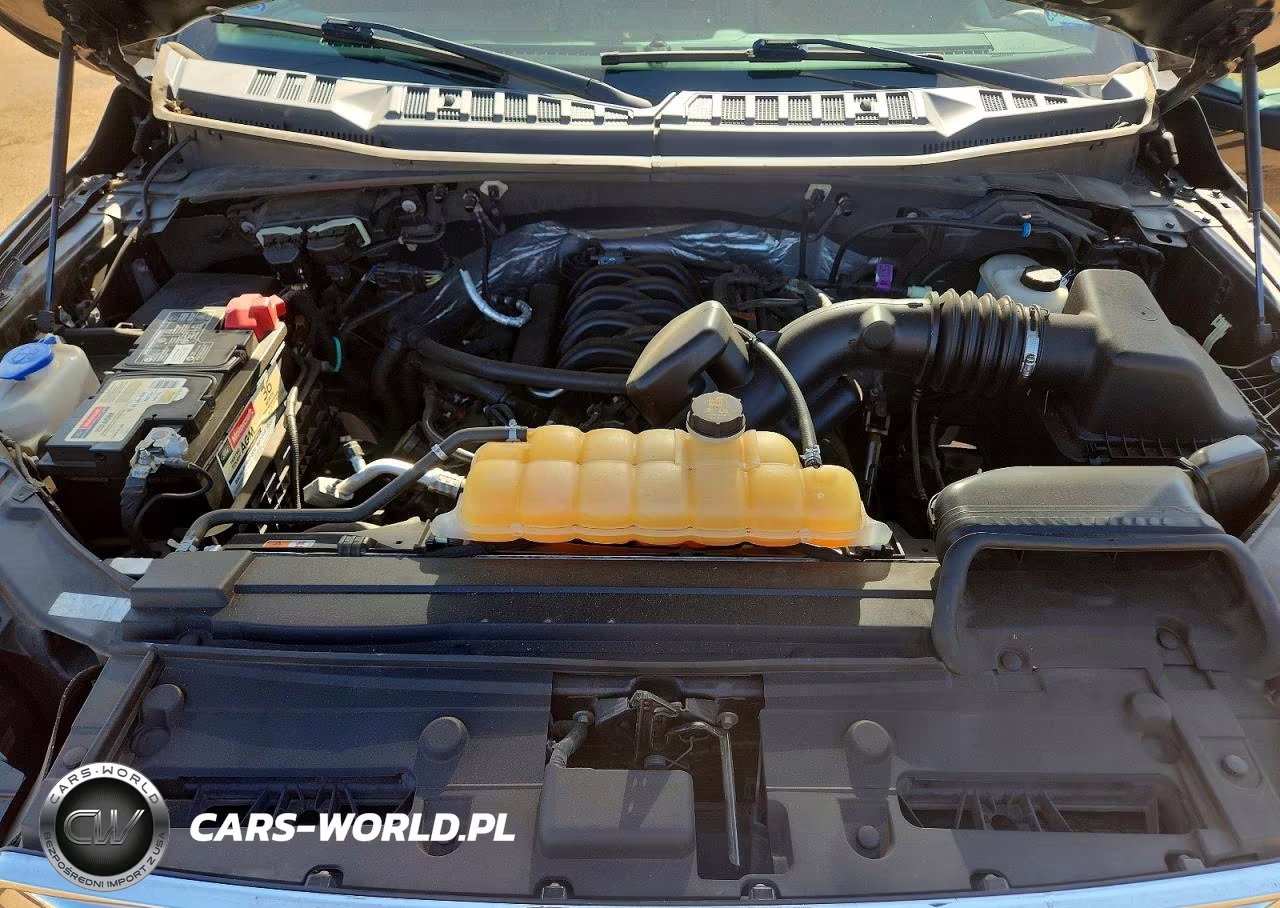 2017 Ford F150 Supercrew VIN:1FTEW1EF9HKD06976 - 11