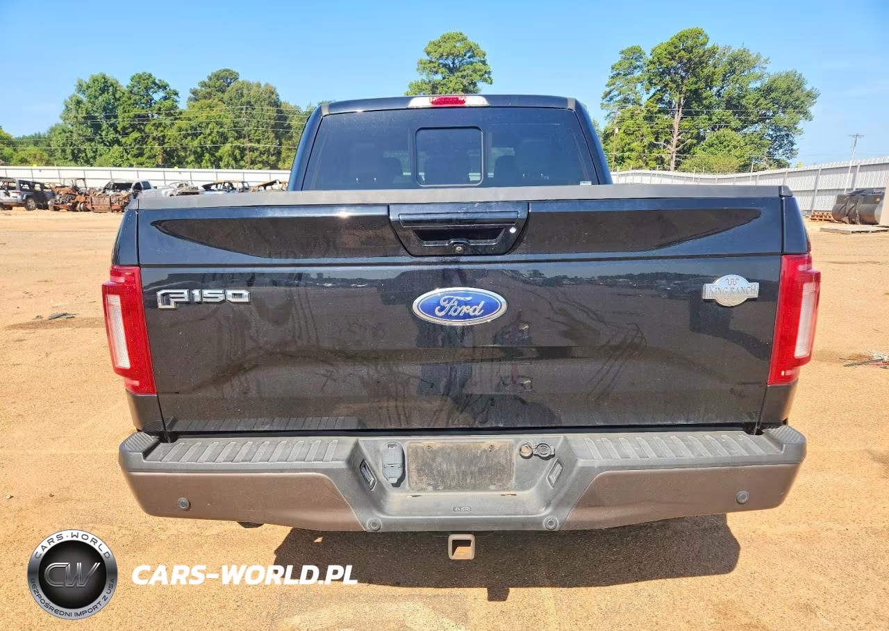2017 Ford F150 Supercrew VIN:1FTEW1EF9HKD06976 - 6