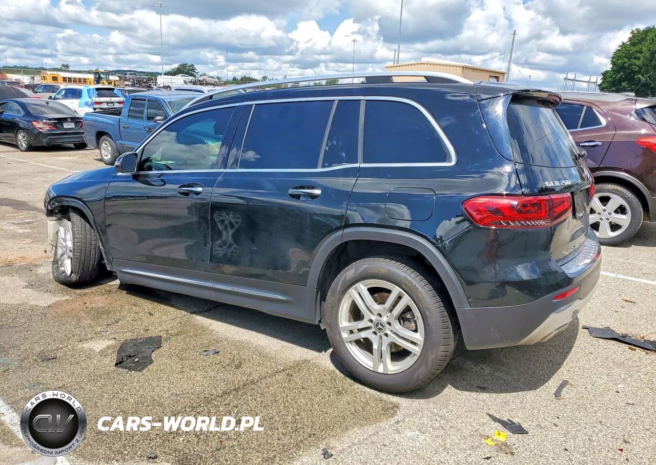2020 Mercedes-Benz Glb 250 4Matic VIN:W1N4M4HB9LW031065 - 2
