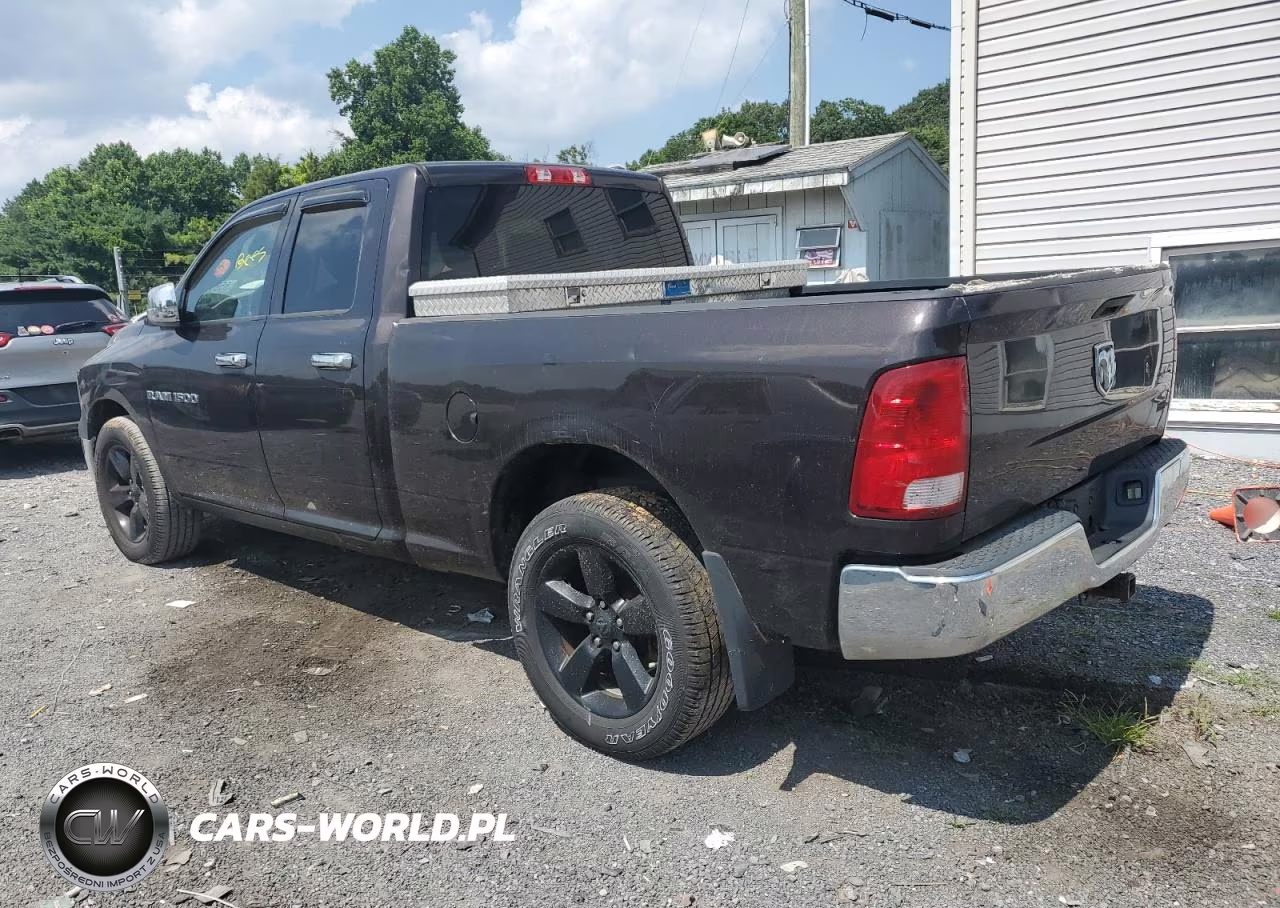 2011 Dodge Ram 1500 VIN:1D7RV1GP6BS503935 - 2