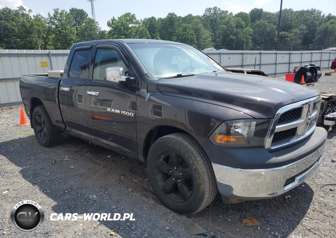 2011 Dodge Ram 1500 VIN:1D7RV1GP6BS503935 - 4