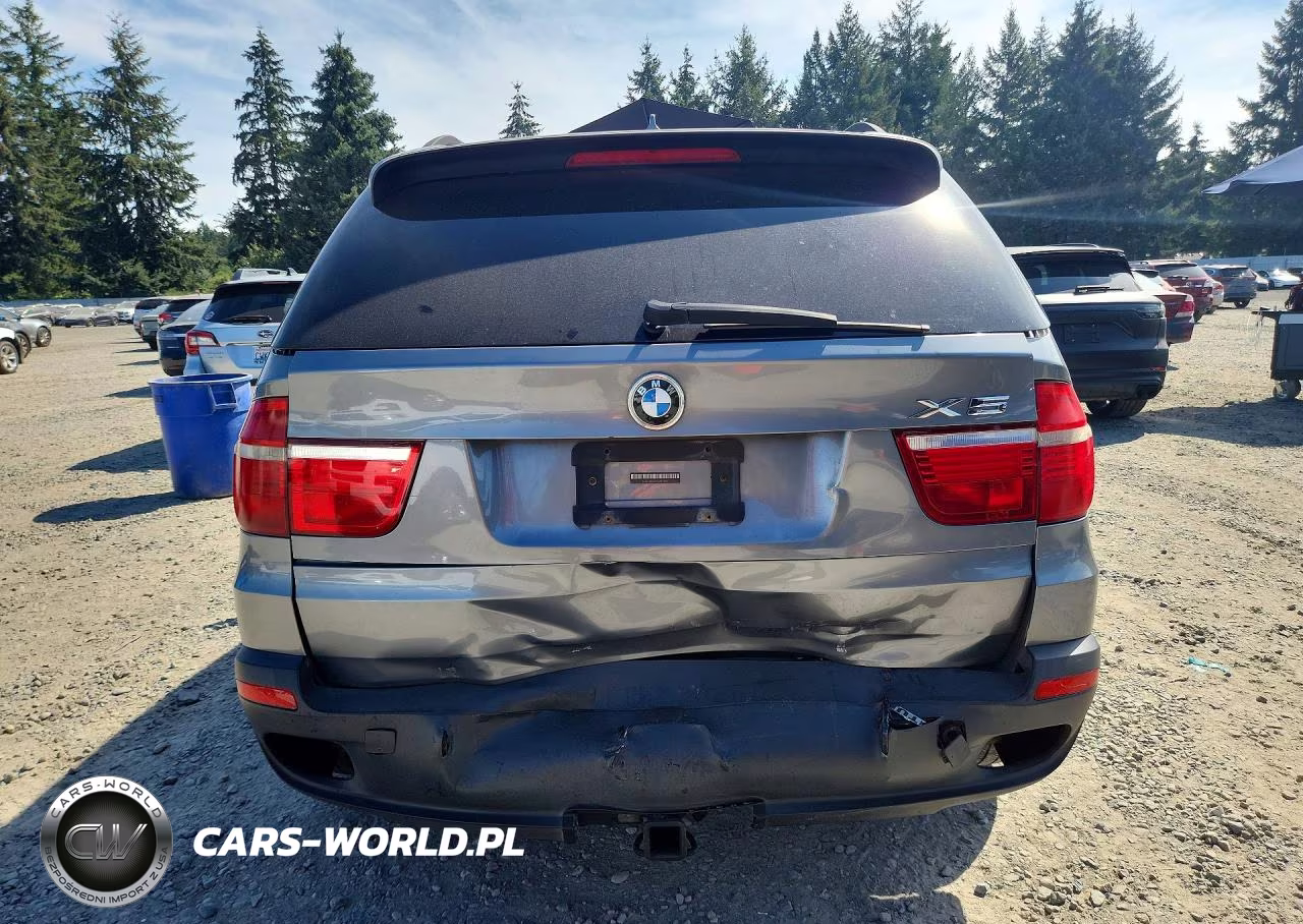 2007 BMW X5 4.8I VIN:5UXFE83527LZ44925 - 6
