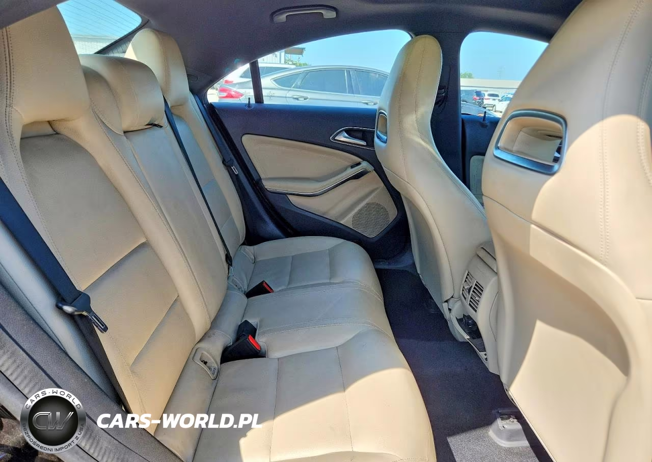 2014 Mercedes-Benz Cla 250 VIN:WDDSJ4EB7EN067007 - 10