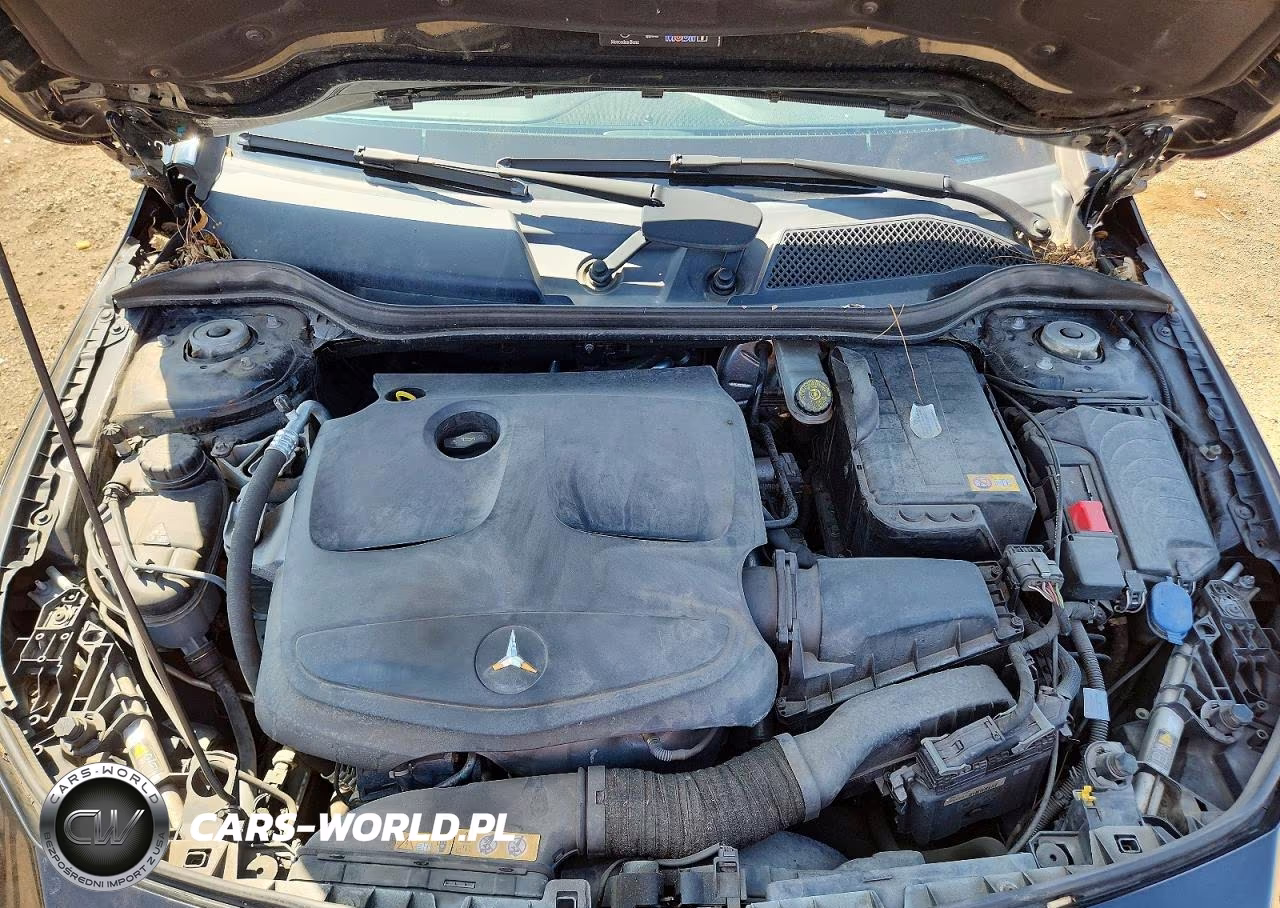 2014 Mercedes-Benz Cla 250 VIN:WDDSJ4EB7EN067007 - 11