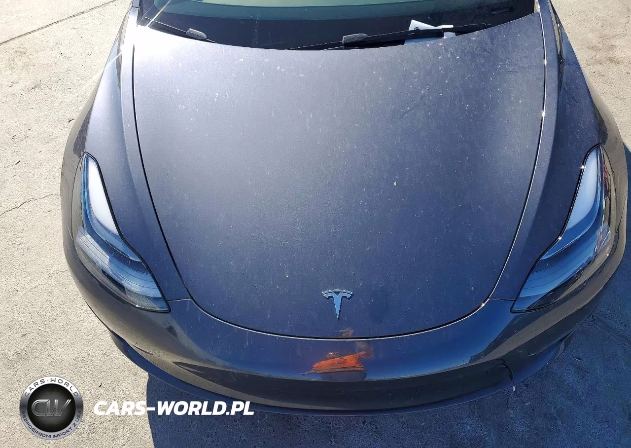 2023 Tesla Model 3 VIN:5YJ3E1EA4PF624479 - 11