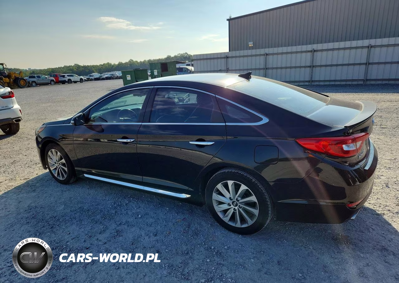 2016 Hyundai Sonata Sport VIN:5NPE34AF2GH406348 - 2