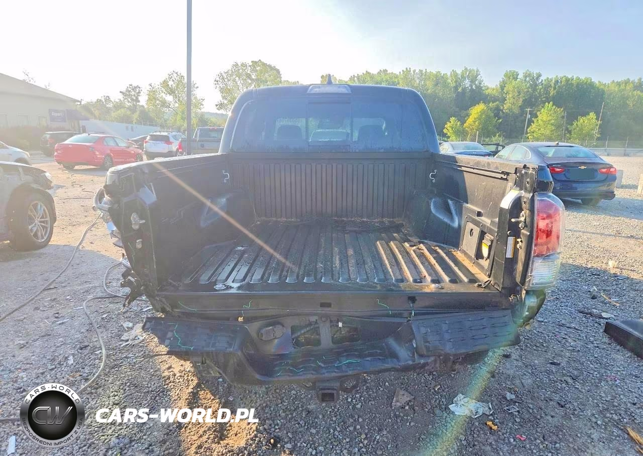 2020 Toyota Tacoma Trd Off-Road VIN:5TFCZ5AN6LX229255 - 6