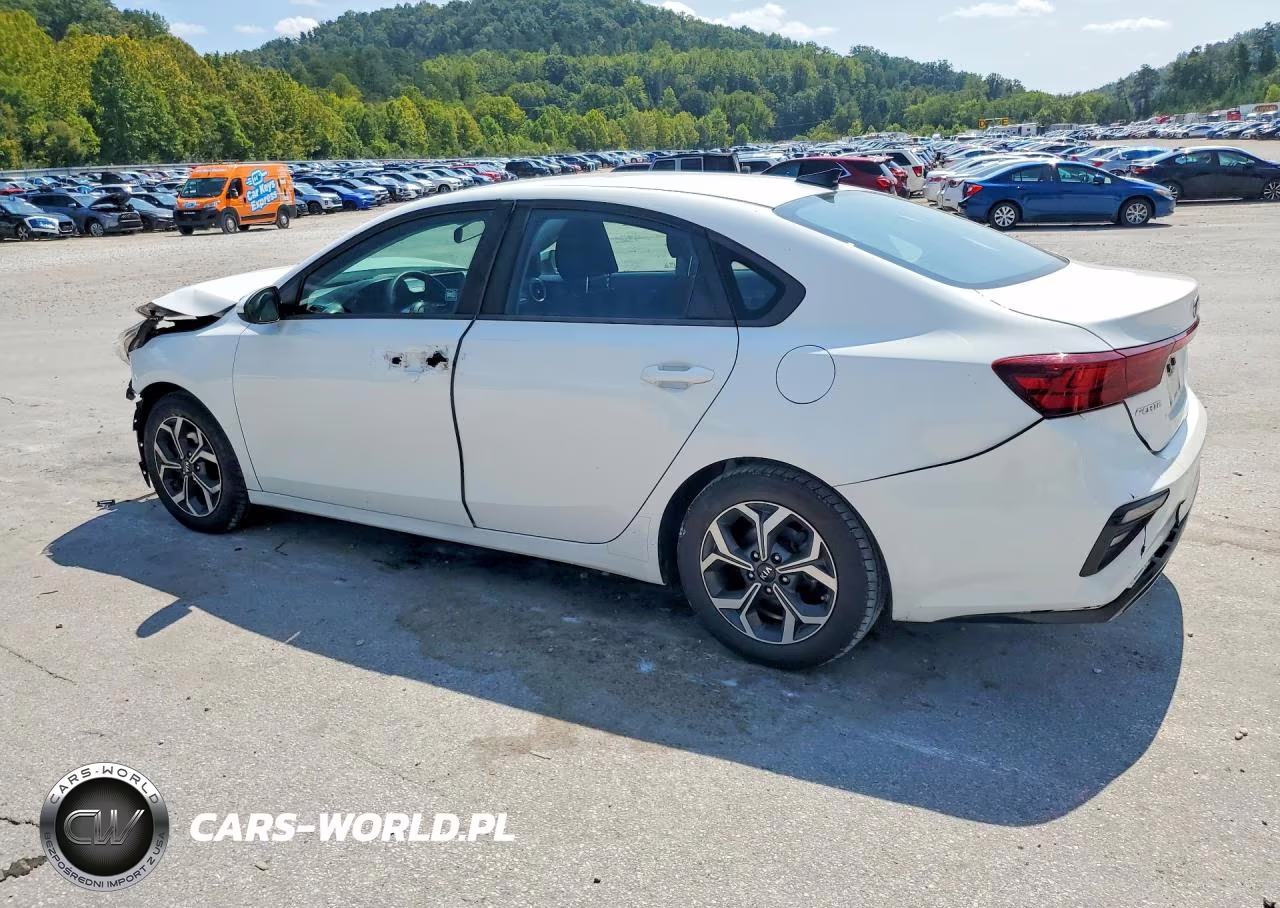 2020 Kia Forte Lxs VIN:3KPF24AD7LE191201 - 2