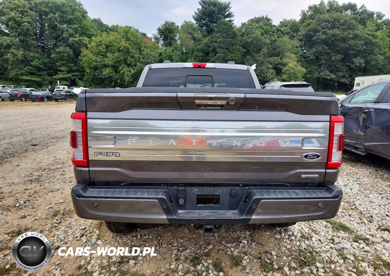 2021 Ford F150 Supercrew VIN:1FTFW1E83MFA65554 - 6
