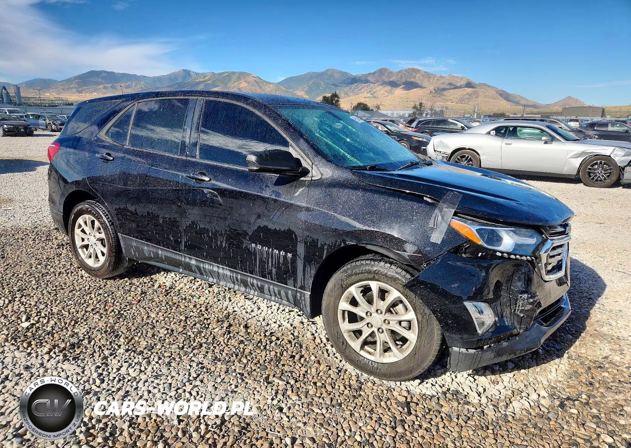 2018 Chevrolet Equinox Ls VIN:3GNAXHEV8JL334307 - 4