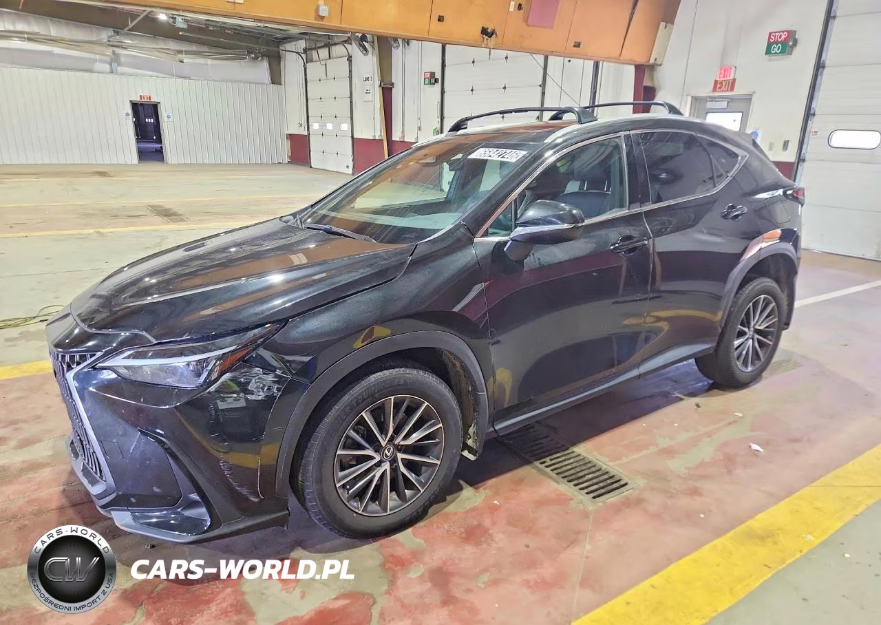 2024 Lexus Nx 250 Base VIN:2T2ADCAZ5RC009847 - 1