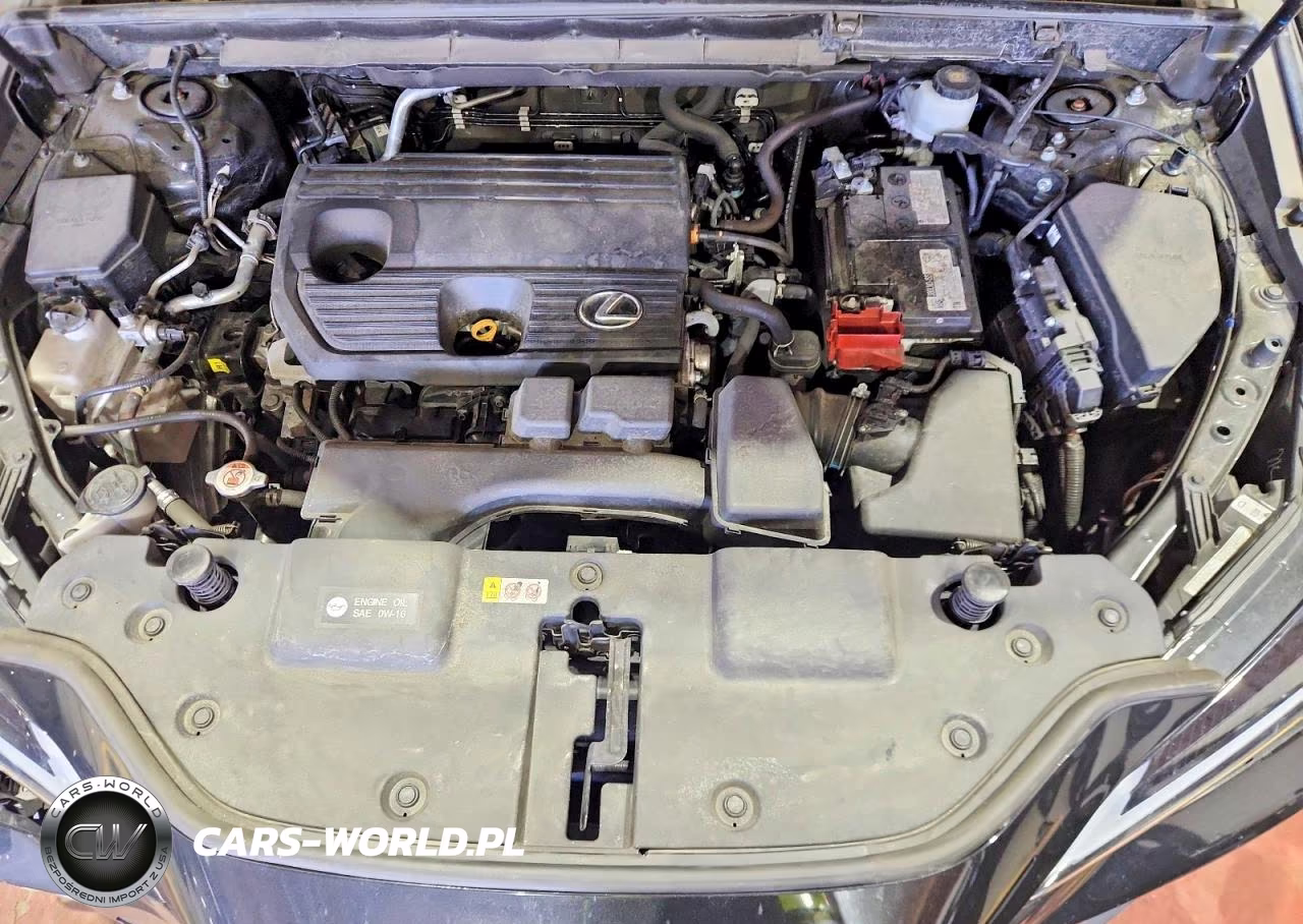 2024 Lexus Nx 250 Base VIN:2T2ADCAZ5RC009847 - 12