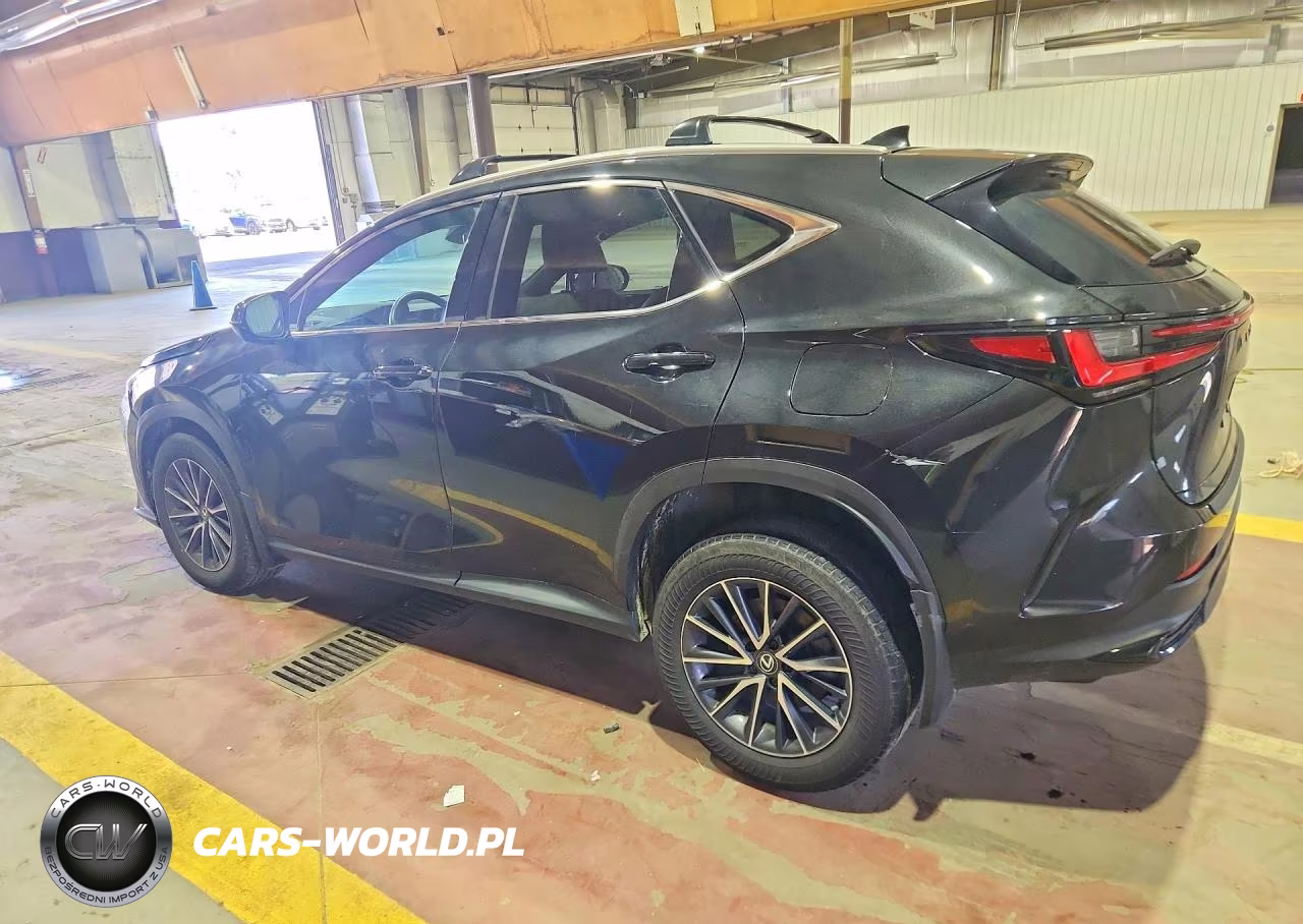 2024 Lexus Nx 250 Base VIN:2T2ADCAZ5RC009847 - 2