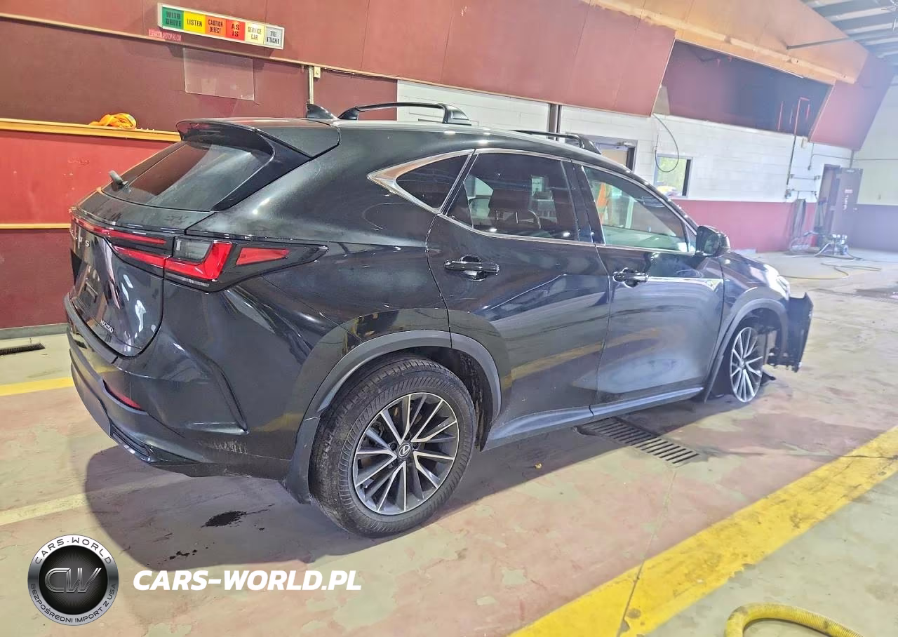 2024 Lexus Nx 250 Base VIN:2T2ADCAZ5RC009847 - 3