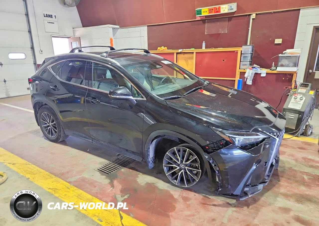 2024 Lexus Nx 250 Base VIN:2T2ADCAZ5RC009847 - 4