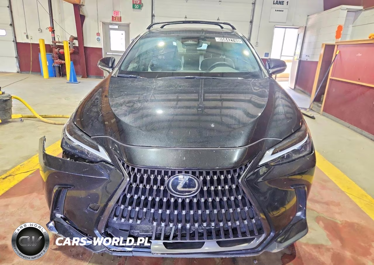 2024 Lexus Nx 250 Base VIN:2T2ADCAZ5RC009847 - 5