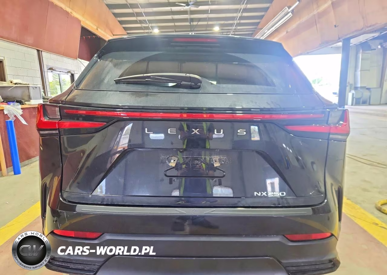 2024 Lexus Nx 250 Base VIN:2T2ADCAZ5RC009847 - 6