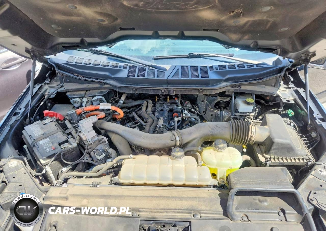2024 Ford F150 Xlt VIN:1FTFW3LDXRFA48429 - 11