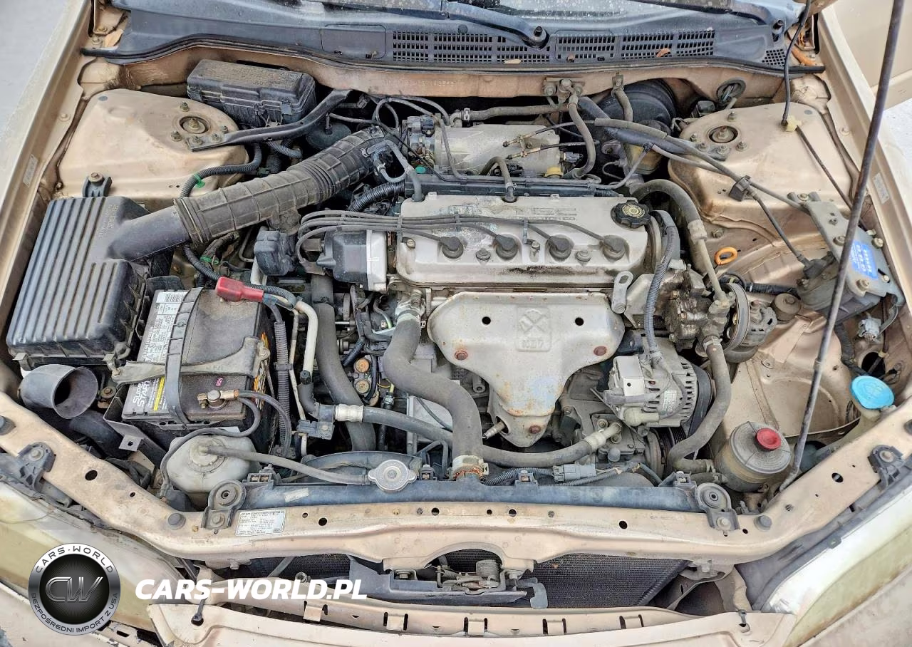 2002 Honda Accord Lx VIN:1HGCG56462A143596 - 11