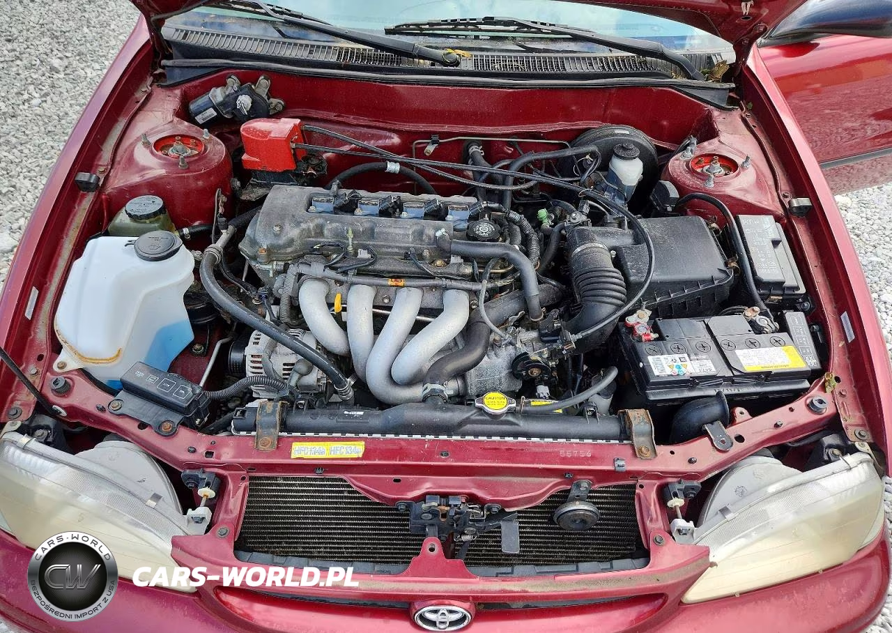 2000 Toyota Corolla Ve VIN:1NXBR12E4YZ403492 - 11