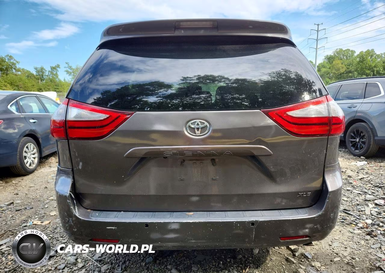 2017 Toyota Sienna Xle 8-Passenger VIN:5TDYZ3DCXHS792276 - 6