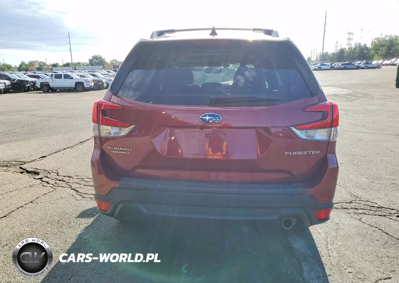 2019 Subaru Forester Limited VIN:JF2SKAUC2KH443852 - 6