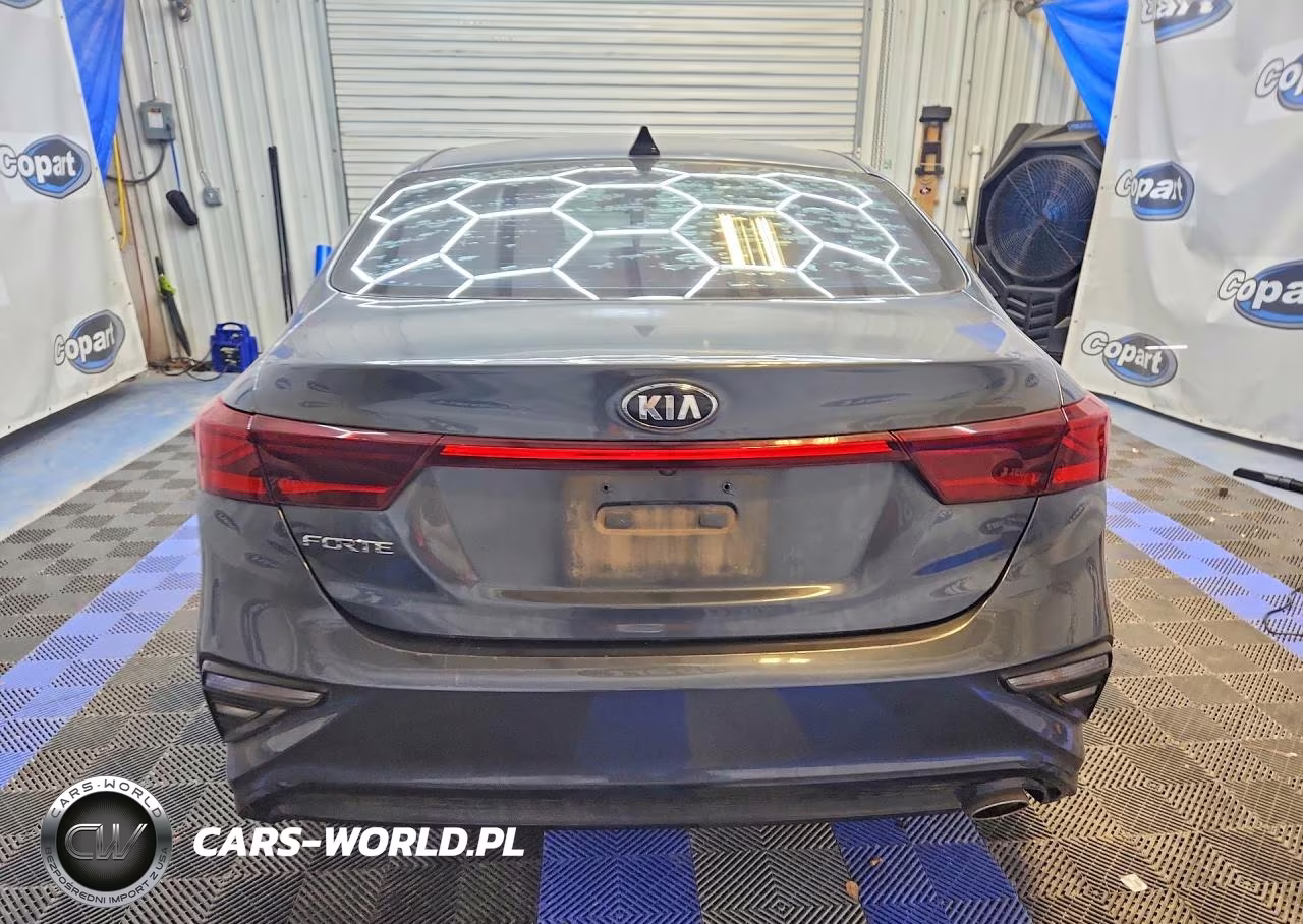 2019 Kia Forte Lxs VIN:3KPF24AD4KE121105 - 6