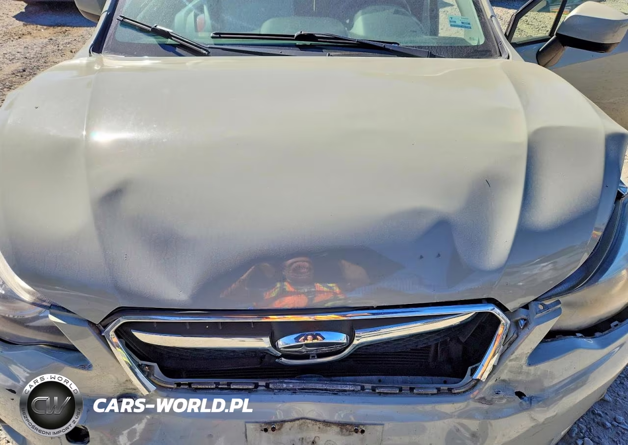 2013 Subaru Xv Crosstrek 2.0 Limited VIN:JF2GPAGC6DH824917 - 12