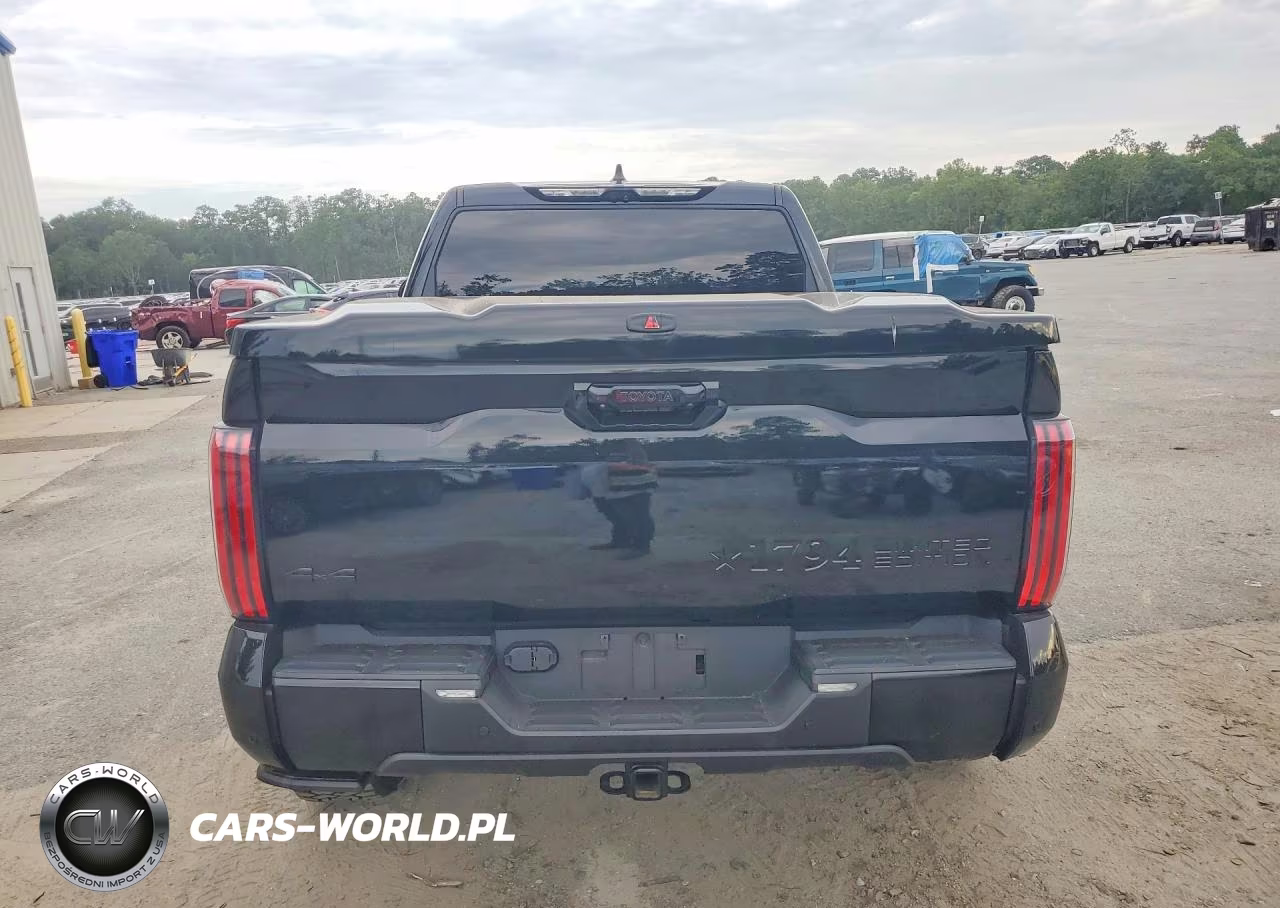 2024 Toyota Tundra 1794 Limited Edition Hv VIN:5TFWC5DB2RX076219 - 6