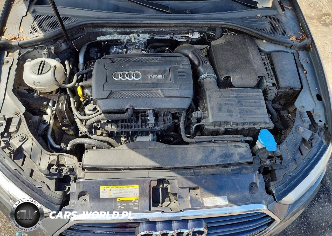 2017 Audi A3 Premium Plus VIN:WAUJ8GFF3H1067244 - 11